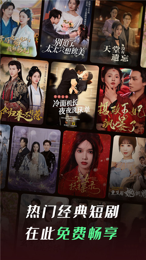 秋田犬守着雪地里的发光松果圣诞树壁纸